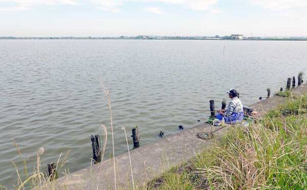 今週のヘラブナ推薦釣り場 千葉県 磯山ワンド 21年6月22日 エキサイトニュース