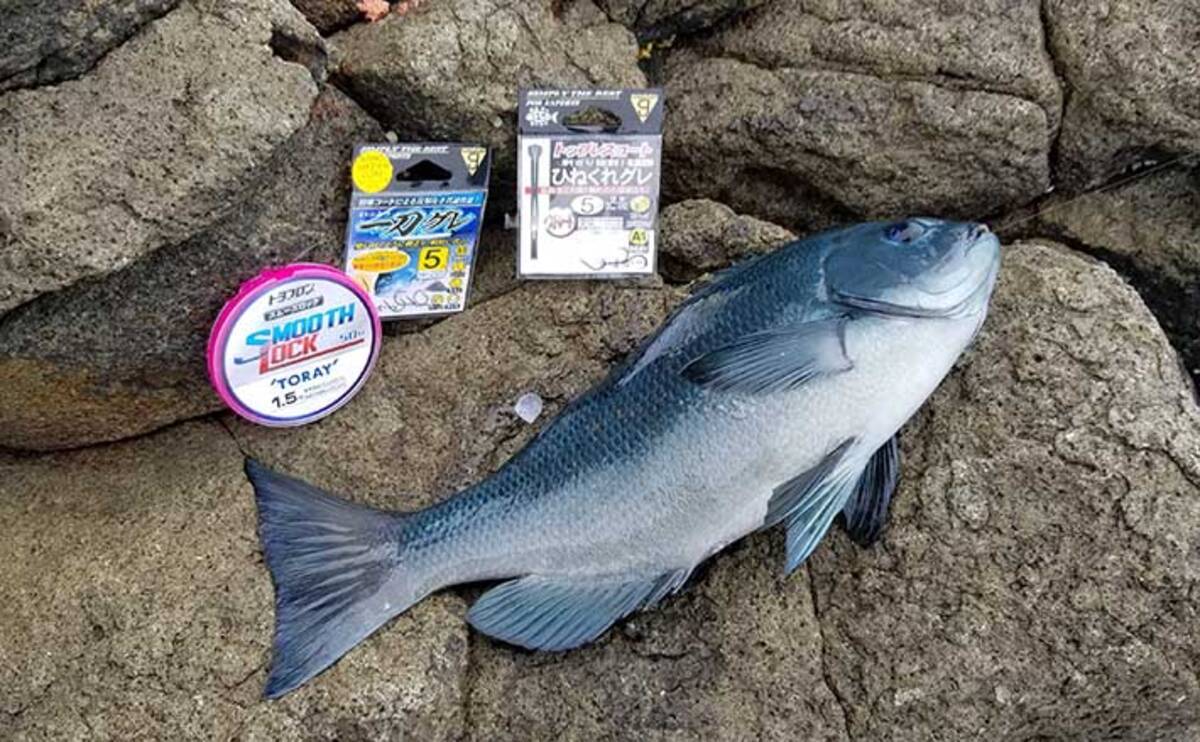 磯フカセ釣りで38cm頭にメジナ好釣 小サバ不在で肩透かし 静岡 21年6月21日 エキサイトニュース 2 5