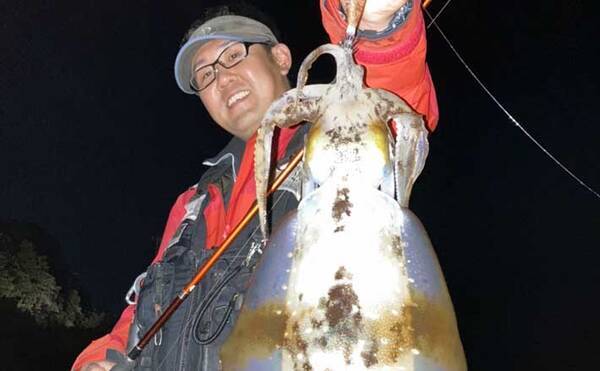 堤防ナイトエギングゲームでキロ級含め良型アオリイカ2匹 熊本 天草 21年6月28日 エキサイトニュース