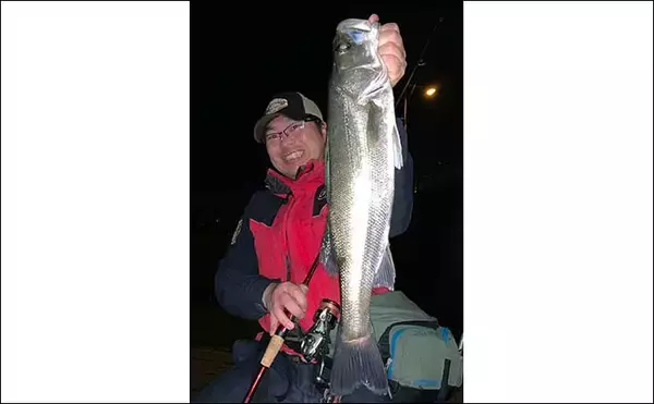 「リバーシーバスゲームで60cm級　ライズヒントに表層狙いが奏功【愛知】」の画像