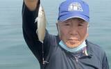 「船キス釣りで100匹超え達成　良型にはゴカイ1匹掛けが吉【三重・丸安丸】」の画像1