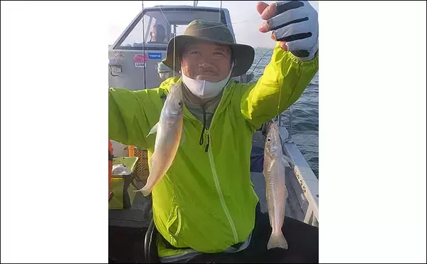 「船キス釣りで100匹超え達成　良型にはゴカイ1匹掛けが吉【三重・丸安丸】」の画像