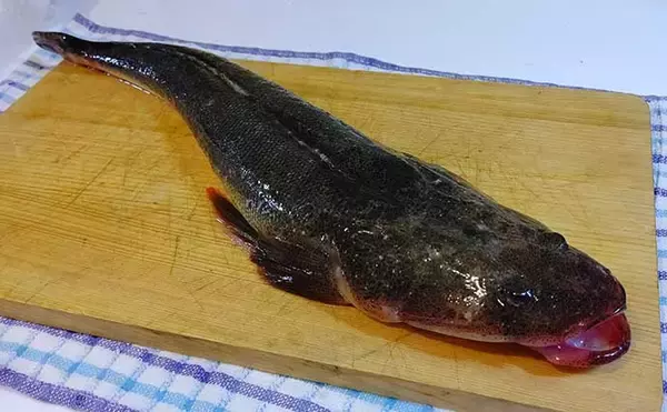 「魚の『アラ＆内臓』の魅力　食品ロスや夏場の生ゴミ問題の解消にも？」の画像