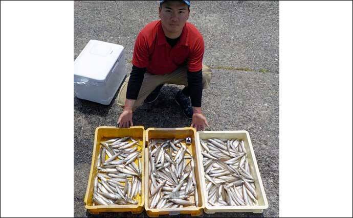 【愛知】沖のエサ釣り最新釣果　旬の大型抱卵イサキ高活性で狙い目