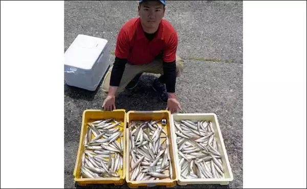 「【愛知】沖のエサ釣り最新釣果　旬の大型抱卵イサキ高活性で狙い目」の画像