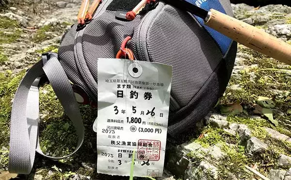 「オリジナル仕掛け『二本毛バリ・テンカラ』でヤマメに挑戦【埼玉】」の画像