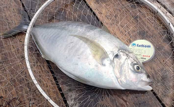 海上釣り堀でシマアジ手中 現地調達の小サバ泳がせが最強 静岡 21年6月28日 エキサイトニュース 海上釣り堀でシマアジ手中 現地調達の小サバ泳がせが最強 静岡 21年6月28日 エキサイトニュース