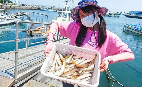 船釣り初挑戦者にキス釣り指南　コツをつかんで47匹【すずえい丸】
