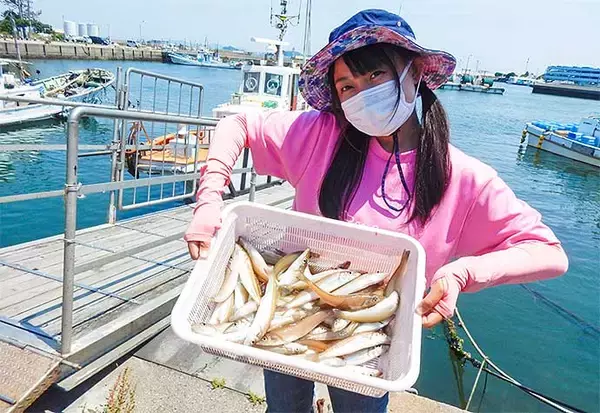 「船釣り初挑戦者にキス釣り指南　コツをつかんで47匹【すずえい丸】」の画像