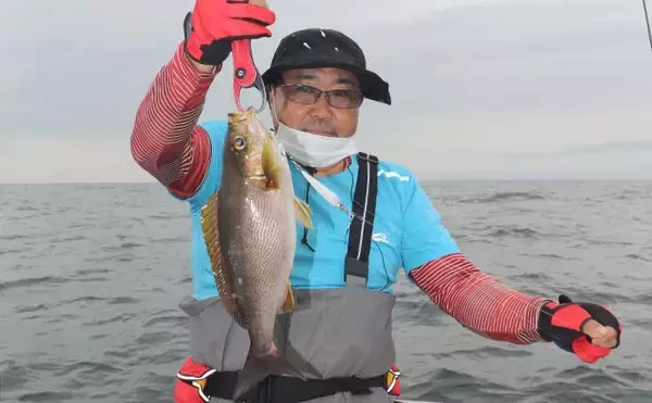 「SLJシーズン到来　大サバ連打に本命イサキも手中【愛知・隆盛丸】」の画像