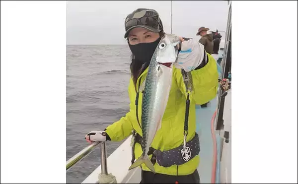 「SLJシーズン到来　大サバ連打に本命イサキも手中【愛知・隆盛丸】」の画像