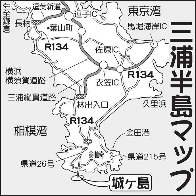 地磯でアオリ狙い泳がせ釣り 現地調達の小魚で本命900g 神奈川 21年7月12日 エキサイトニュース