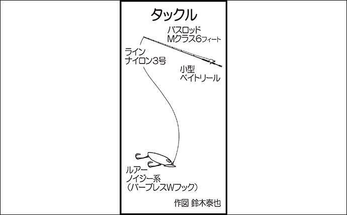 近場の河川でトップウォーターゲーム　60cm頭にライギョ2尾手中【福岡】