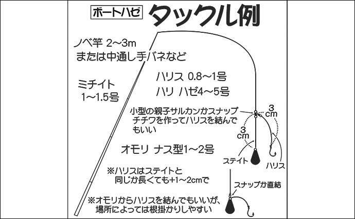 21関東 ボートハゼ釣り入門 タックル 釣り方 オススメ船宿 21年7月12日 エキサイトニュース