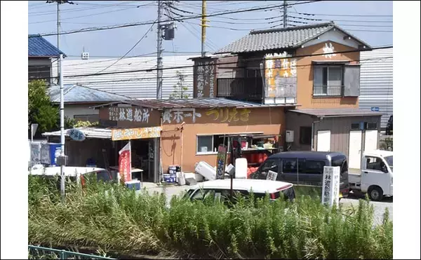 「【2021関東】ボートハゼ釣り入門　タックル・釣り方・オススメ船宿」の画像