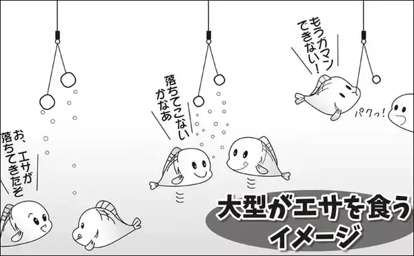 「伊藤さとしのプライムフィッシング【マッシュポテトを使おう：第2回】」の画像