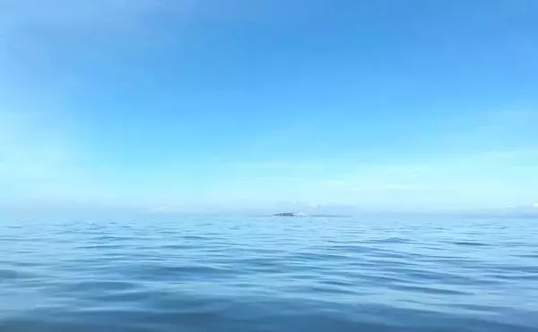 ボート釣りの天敵「熱中症」対策　スイカやキュウリなど夏野菜が効果大？