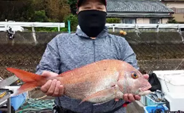 「【愛知・三重】沖のエサ釣り最新釣果　レンタルボートでハタ類釣果上昇中」の画像