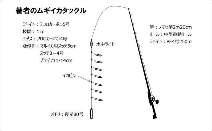 上越ムギイカ釣りで44杯 時合いをとらえて最多6点掛け 新潟 金栄丸 21年7月15日 エキサイトニュース 2 4