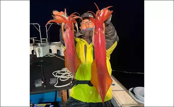 「メバリングロッド流用でイカメタルに挑戦　活性高く良型の数釣り堪能」の画像
