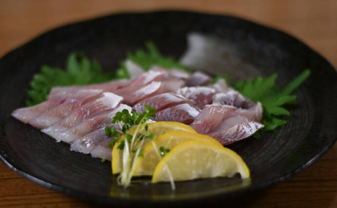 北海道で ホッケ が記録的豊漁 刺身 は白身なのに青魚の風味 21年7月31日 エキサイトニュース 2 2