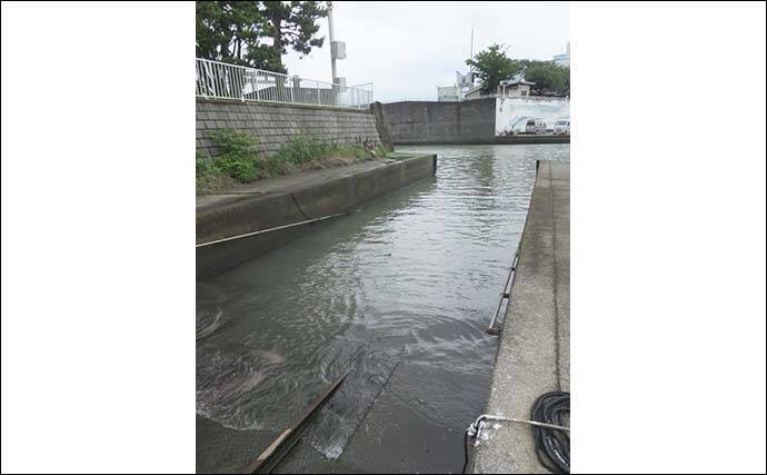 ハゼ テナガエビの好釣り場紹介 相模川河口 足場良く家族で楽しめる 21年7月31日 エキサイトニュース 2 3