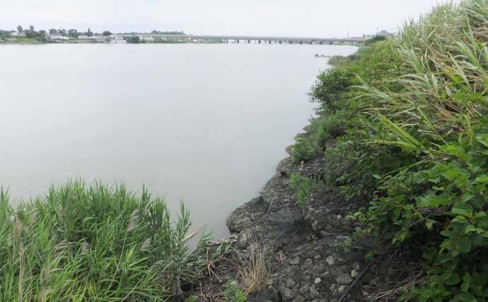 ハゼ テナガエビの好釣り場紹介 相模川河口 足場良く家族で楽しめる 21年7月31日 エキサイトニュース 3 3