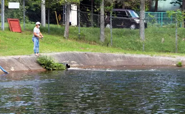 「管理釣り場スタッフが教える「夏のエリアフィッシングの魅力と攻略法」」の画像