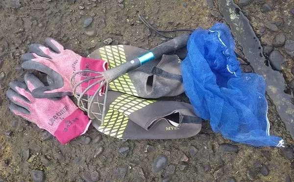 「潮干狩りとハゼ釣りの二刀流が楽しい　潮汐見極め一石二鳥【千葉】」の画像