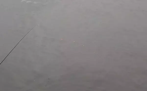 「潮干狩りとハゼ釣りの二刀流が楽しい　潮汐見極め一石二鳥【千葉】」の画像