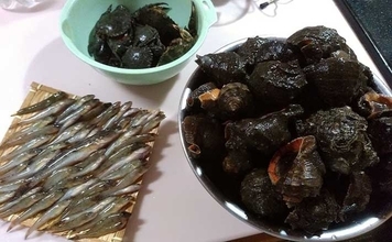 潮干狩りとハゼ釣りの二刀流が楽しい　潮汐見極め一石二鳥【千葉】