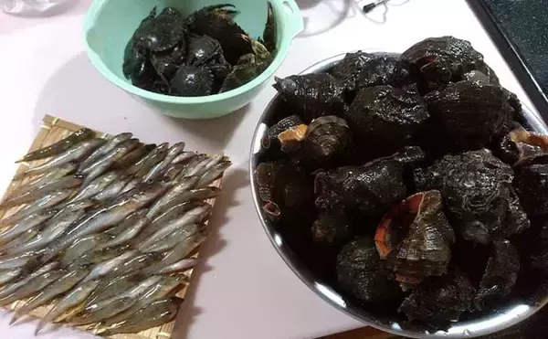 潮干狩りとハゼ釣りの二刀流が楽しい　潮汐見極め一石二鳥【千葉】