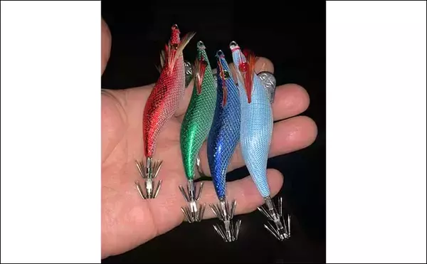 「今さら聞けないオモリグのキホン：タックル＆エギの選び方」の画像