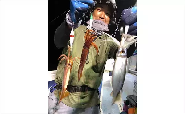 「【2021茨城】夜イカ釣り入門　釣果アップのコツと最近の釣果を紹介」の画像