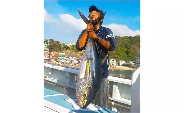 「【相模湾2021】キハダマグロ＆カツオ解禁　コマセ釣りの基本を解説」の画像