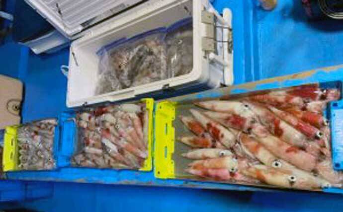 福井 沖釣り最新釣果 半夜便でマイカ137匹と爆釣 21年8月11日 エキサイトニュース