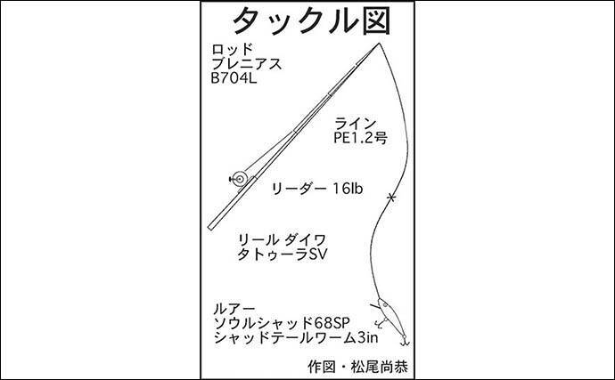 陸っぱりから36cmキジハタ手中 プラッギングでのヒットに満足 福井 21年8月16日 エキサイトニュース