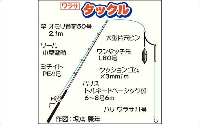 東京湾ワラサ釣り 開幕 豪快な引きが病みつきに 神奈川 剣崎沖 21年8月18日 エキサイトニュース