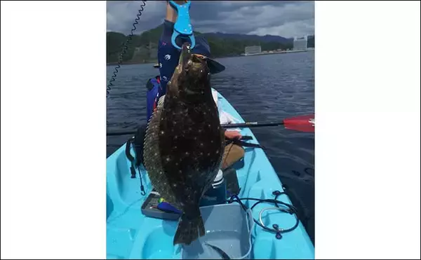 「カヤックフィッシングの『今と未来』　西伊豆のモデルケースとは？」の画像