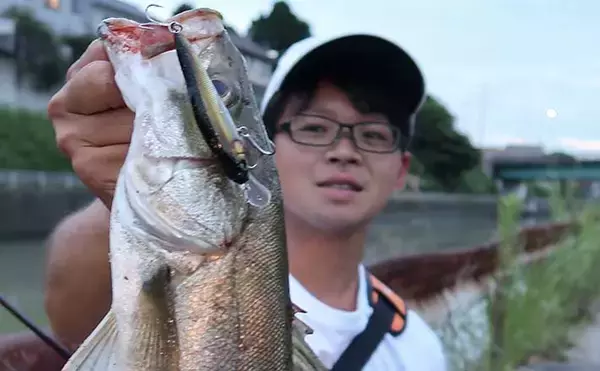 今さら聞けないシーバスゲームのキホン：夏の「イナッコパターン」攻略法