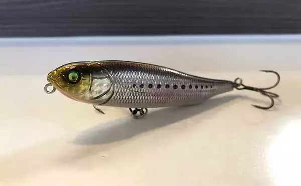 「今さら聞けないシーバスゲームのキホン：夏の「イナッコパターン」攻略法」の画像