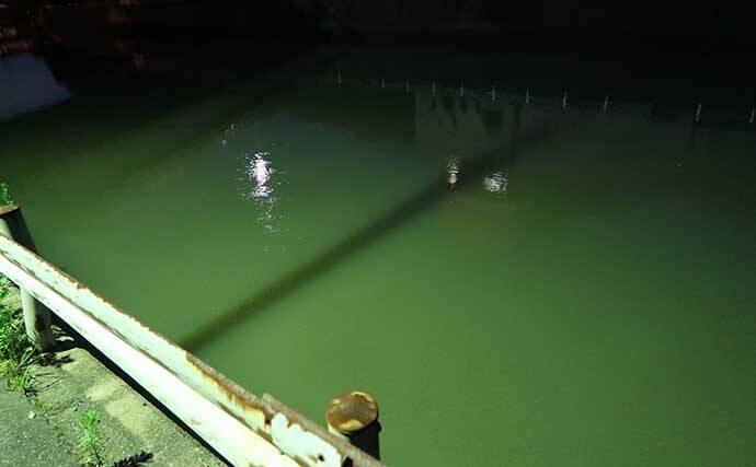 今さら聞けないシーバスゲームのキホン：夏の「イナッコパターン」攻略法