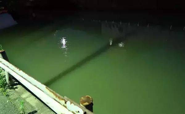 「今さら聞けないシーバスゲームのキホン：夏の「イナッコパターン」攻略法」の画像