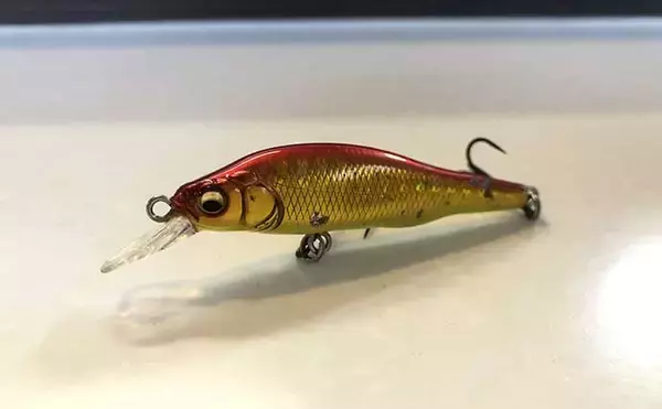 「今さら聞けないシーバスゲームのキホン：夏の「イナッコパターン」攻略法」の画像