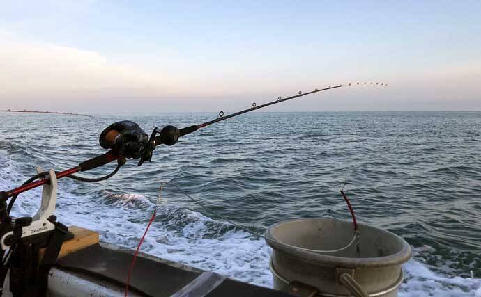 ビギナーが 魚の王様 マダイを釣るために コマセ釣りが最適なワケ5選 21年8月22日 エキサイトニュース