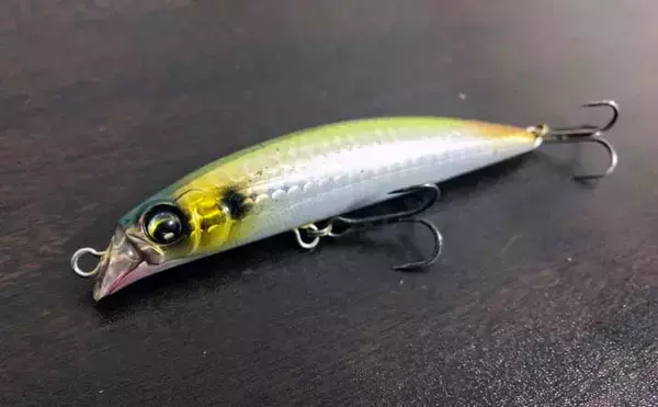 「夏の信濃川でシーバスを釣る方法：使用するルアー種類と有効な使い方」の画像