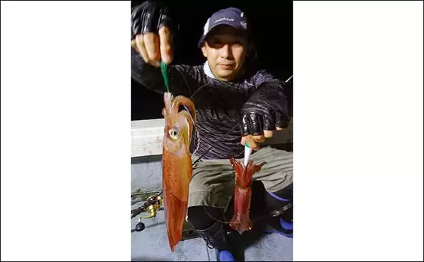 「【響灘】沖釣り最新釣果　タイラバでマダイ他多彩な魚種がヒット中」の画像