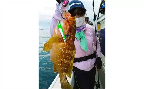 「【響灘】沖釣り最新釣果　タイラバでマダイ他多彩な魚種がヒット中」の画像