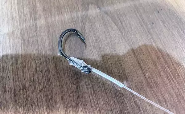 「相模湾キハダマグロ釣りの新潮流『エビング』を初心者向けに解説」の画像