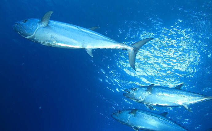 海底火山に「漁船の名前」がつけられるワケ　地形と漁場の関係がヒント？